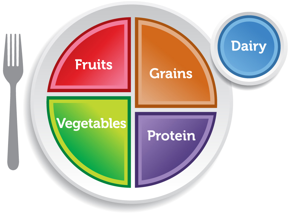 MyPlate Icon and Food Groups