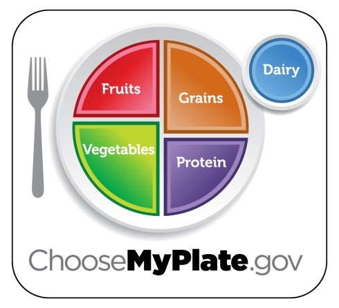myplate illustrating the 5 food groups: fruits, grains, vegetables, protein, and dairy.