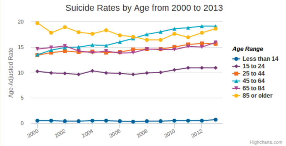 Suidice Rates By Age 2000-2013