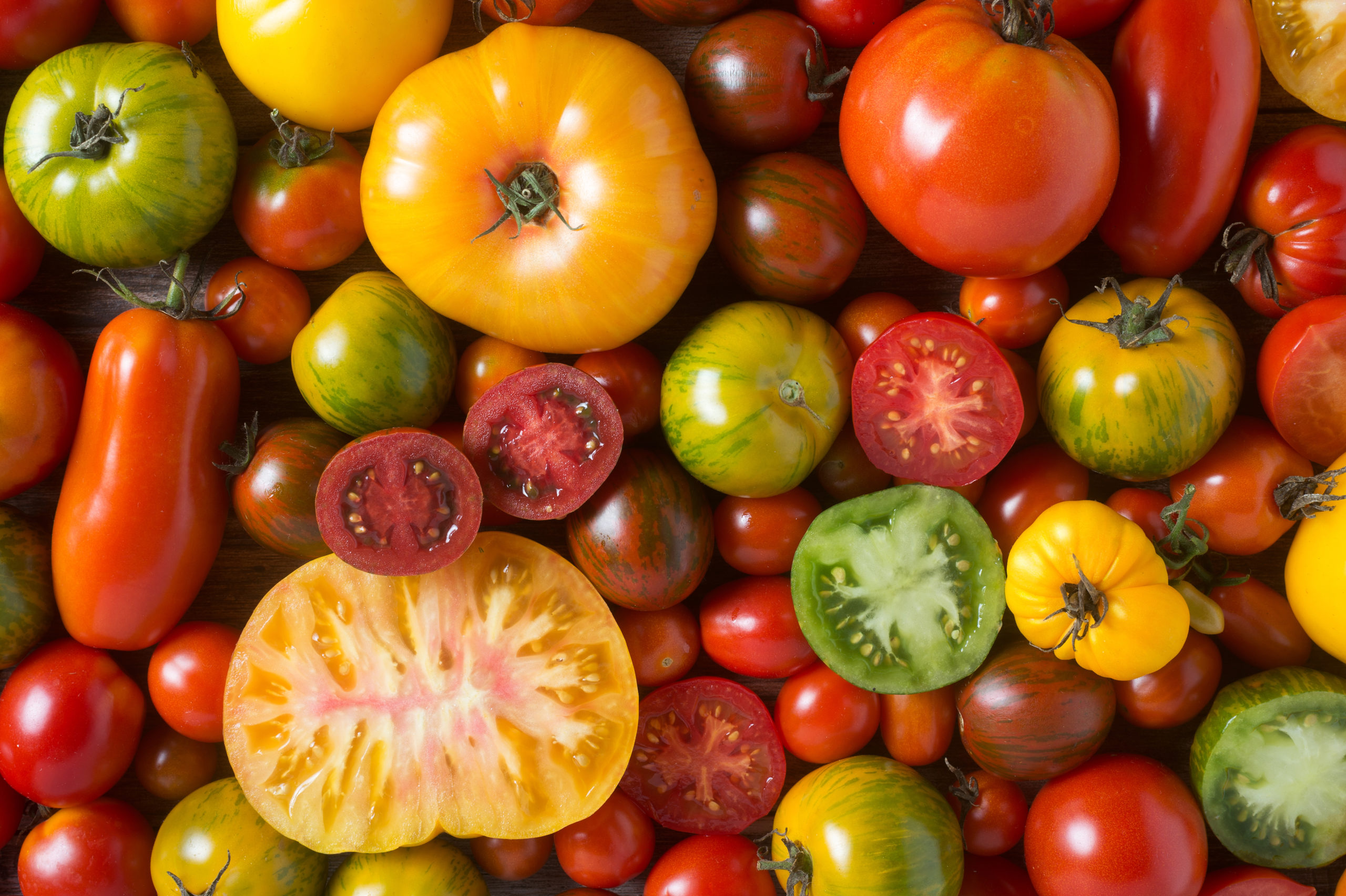 Colorful tomatoes shot from above