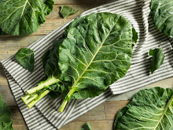 Raw Green Organic Collard Greens Ready to Cook