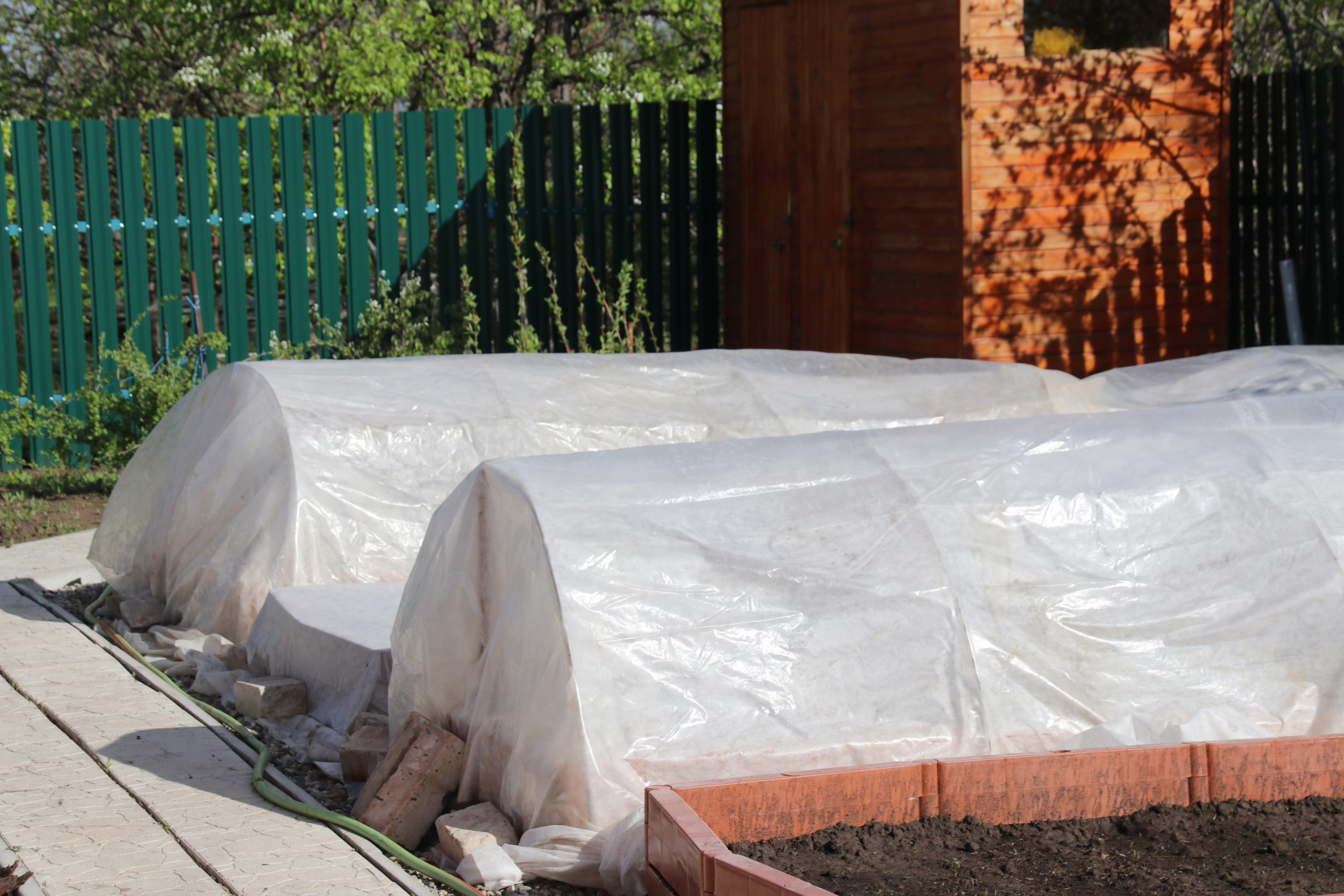 Vegetable patches with seedlings covered with spunbond and polyethylene film to keep humidity and from ground frost in the spring garden