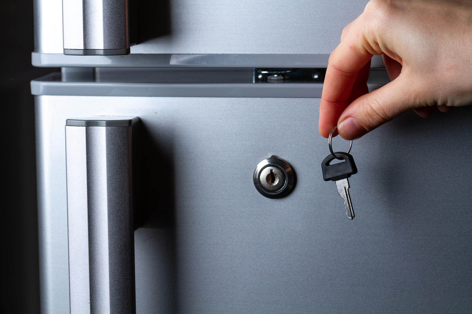 Metal refrigerator door with lock. Food storage and freezing. Diet