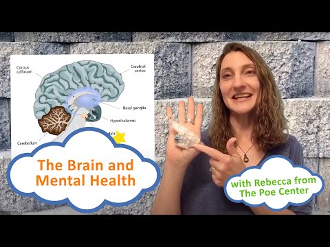 The Brain and Mental Health Mini-Lesson: With Rebecca from The Poe Center for Health Education