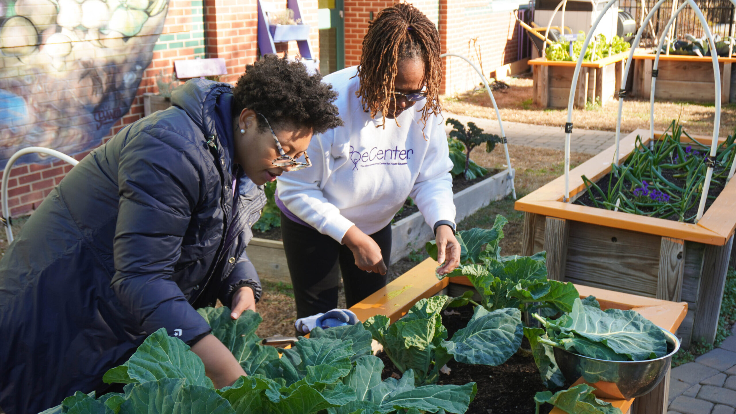 Catherine and Kim working in the collards raised bed.