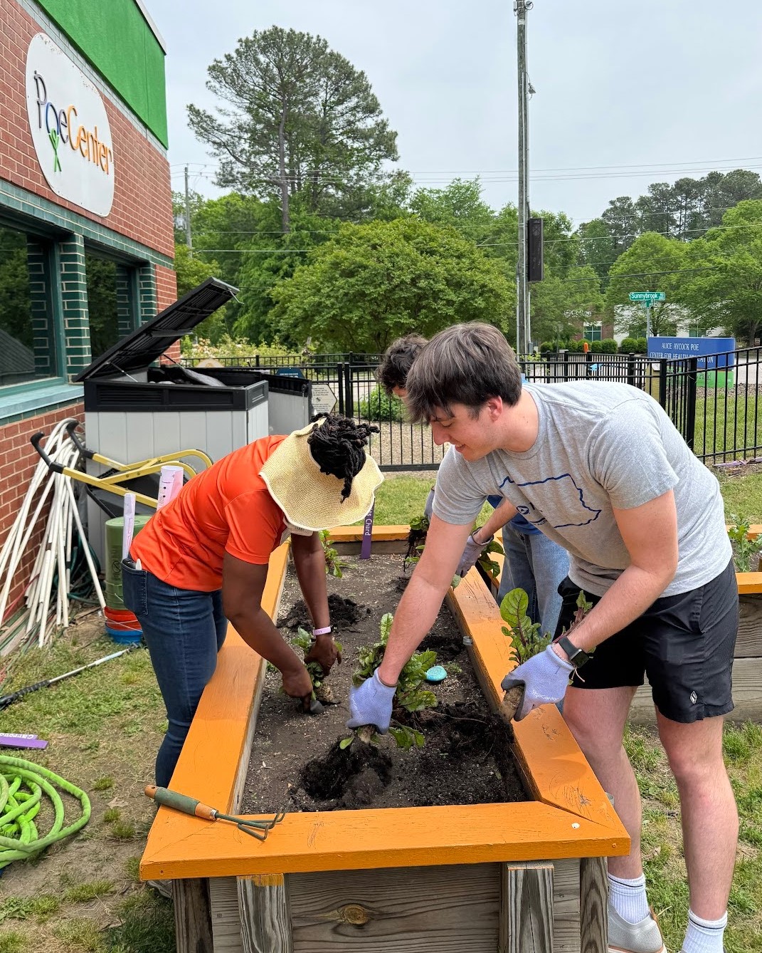 two volunteers plant vegetables in an raised garden bed outside of the Poe center