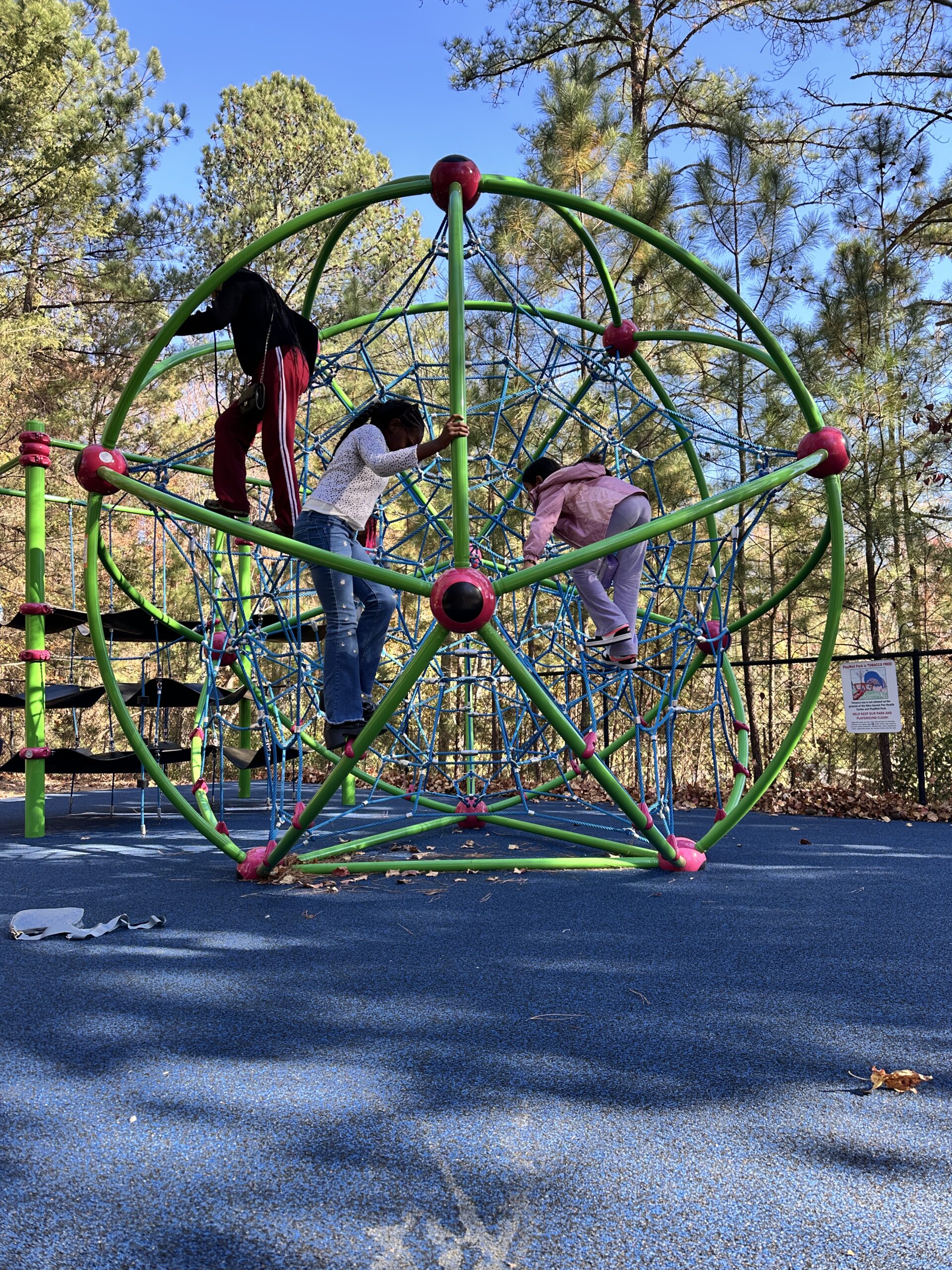 PlayWELL Park Cell Themed Climbing Tower