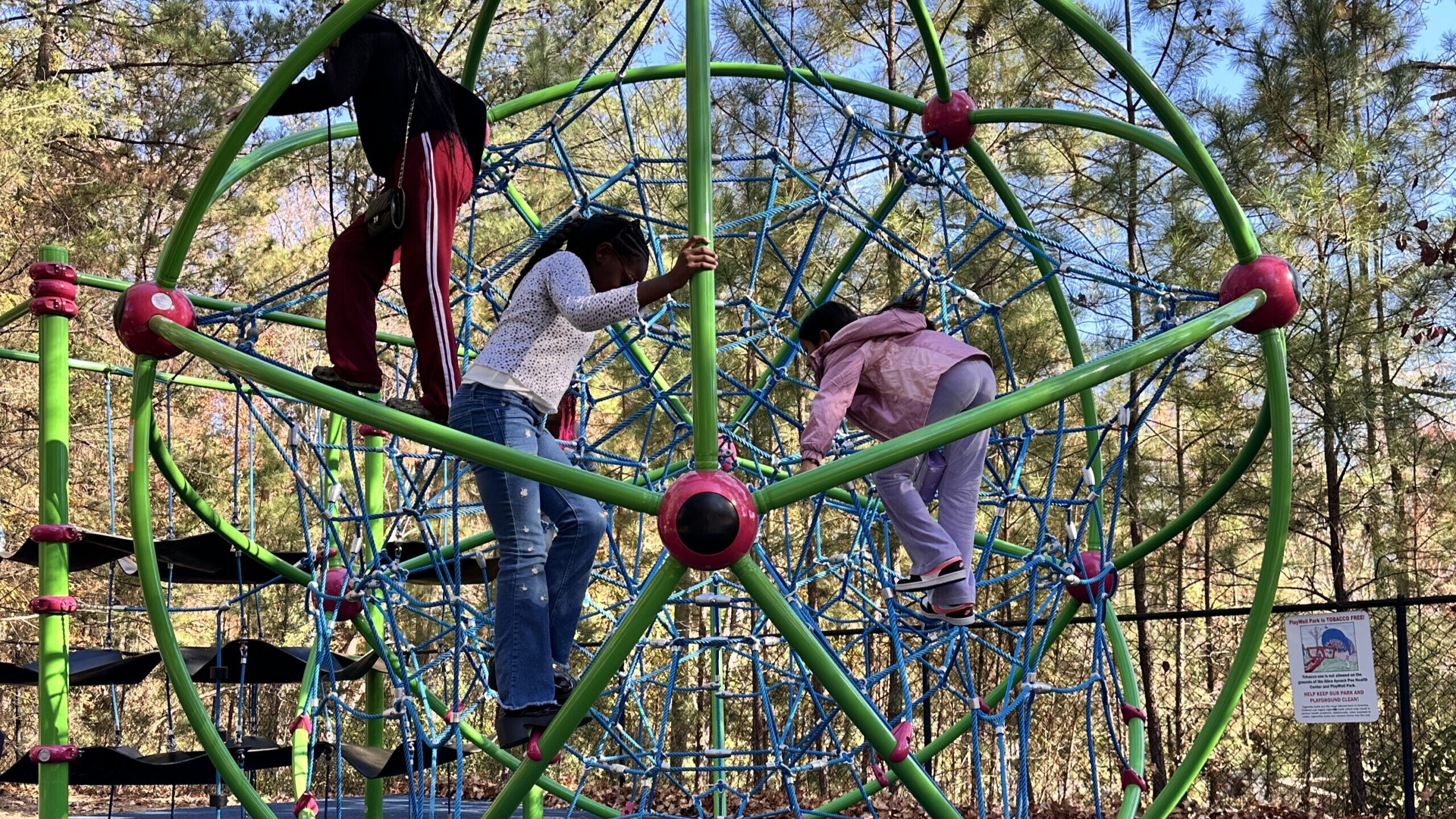3 children climb the cell-themed climbing structure at PlayWELL Park at the Poe Center during Camp PlayWELL