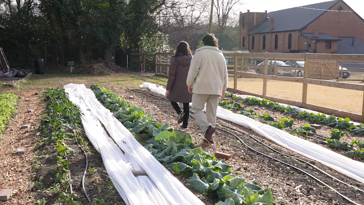 Two people walking though a garden.