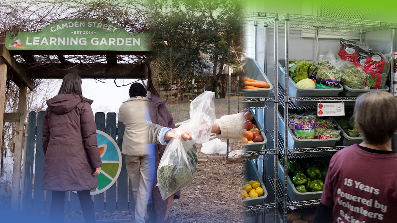 From Farm, to Food Bank, to Food Pantry, to You - Part 1 - Poe Center ...