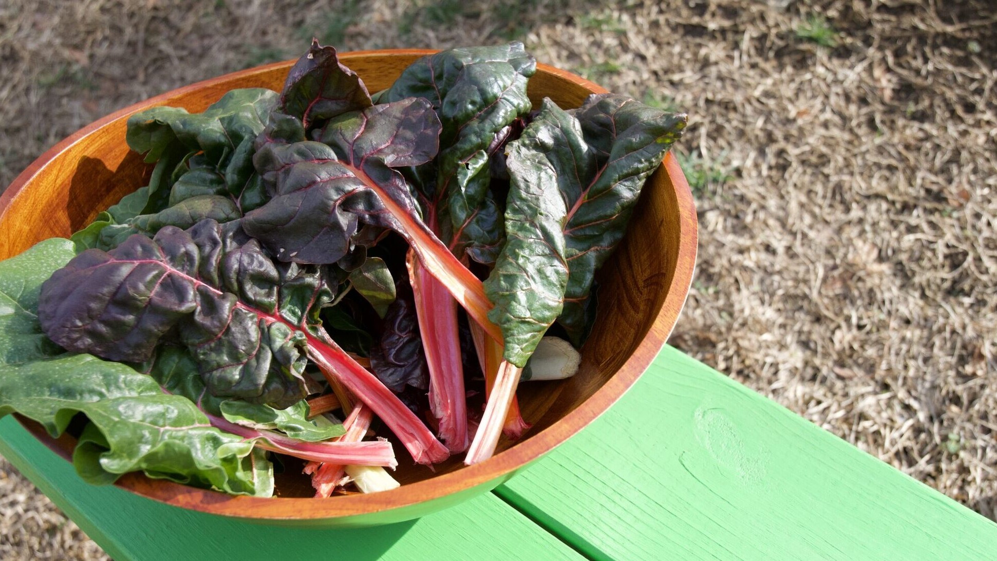 Swiss chard on a bench.